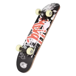 Skateboarduri
