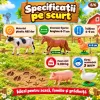 Set 12 figurine animale de la ferma pentru copii, cu vaca, cal, cocos, oaie si alte animale domestice