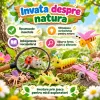 Set 6 figurine insecte pentru copii, cu albina, buburuza, calugarita, lacusta, omida si libelula