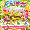 Set 6 figurine insecte pentru copii, cu albina, buburuza, calugarita, lacusta, omida si libelula