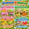 Set 12 figurine insecte si mici vietuitoare pentru copii, cu albina, paianjen, scorpion si libelula