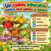 Set 12 figurine insecte si mici vietuitoare pentru copii, cu albina, paianjen, scorpion si libelula