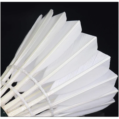 Set 6 Fluturasi badminton din pene FLOTT