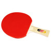 Set palete tenis de masa + 3 mingi FLOTT