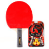 Set palete tenis de masa + 3 mingi FLOTT