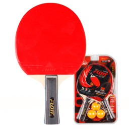Set palete tenis de masa + 3 mingi FLOTT