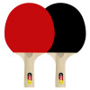 Set palete tenis de masa cu 3 mingi + fileu FLOTT