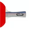 Set palete tenis de masa cu 3 mingi + fileu FLOTT