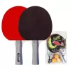 Set palete tenis de masa cu 3 mingi + fileu FLOTT