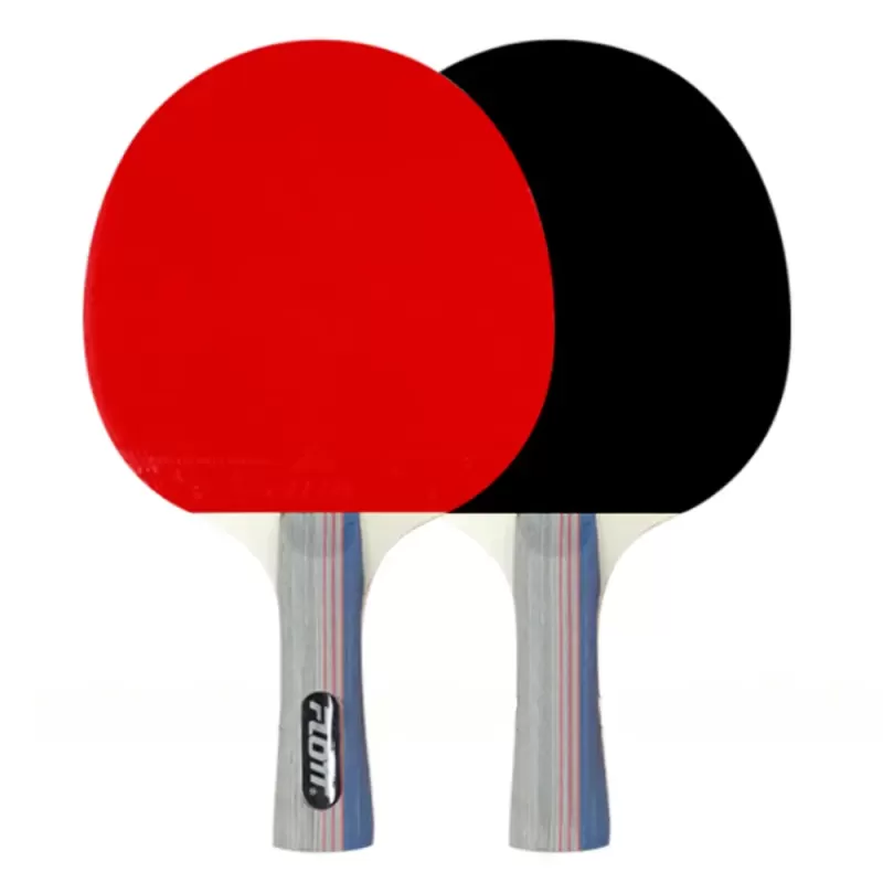 Set palete tenis de masa cu 3 mingi + fileu FLOTT