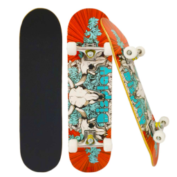 Skateboard din lemn cu husa STS, Display