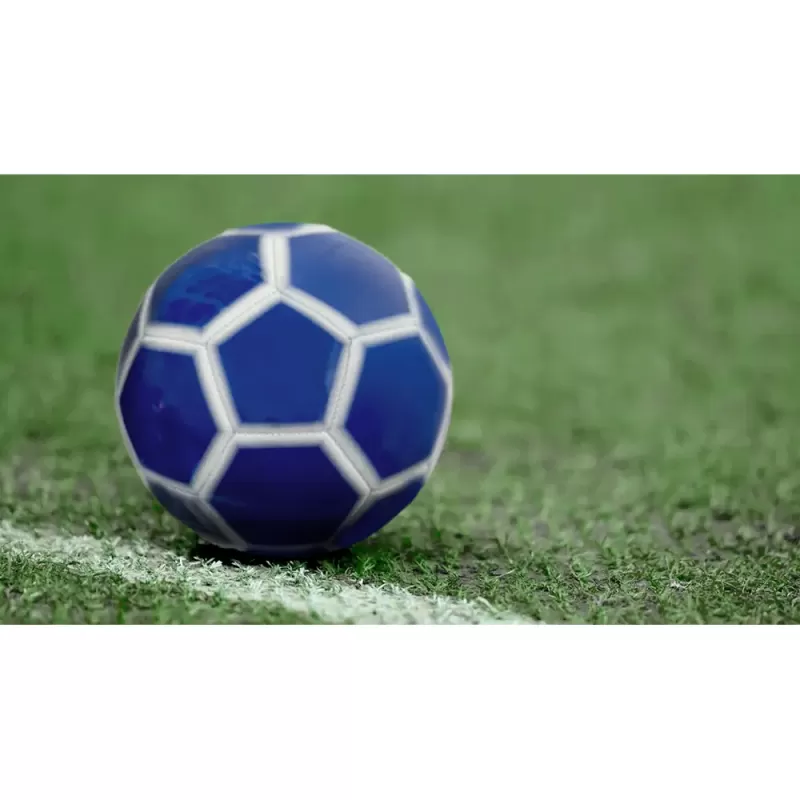 Minge fotbal RCO, pentru recreere, antrenamente si locuri de joaca, marimea 5, PVC, Albastru