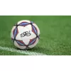 Minge fotbal STS, pentru recreere, antrenamente si locuri de joaca, marimea 5, PVC, STS