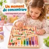 Activitate magnetica pentru logica, concentrare si motricitate fina