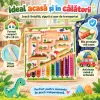 Activitate magnetica pentru logica, concentrare si motricitate fina