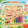 Activitate magnetica pentru logica, concentrare si motricitate fina