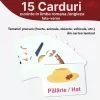 Joc educativ bilingv română /engleză alfanumeric cu 110 placute din lemn si 20 carduri laminate pentru asociere si sortare tip Montessori 3+ ani