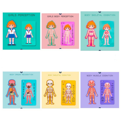 Puzzle din lemn, Anatomia Corpul uman- Fetita, 30 piese