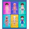 Puzzle din lemn, Anatomia Corpul uman- Baietel, 30 piese