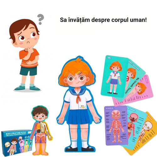 Puzzle din lemn, Anatomia Corpul uman- Fetita, 30 piese