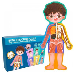 Puzzle din lemn, Anatomia Corpul uman- Baietel, 30 piese