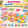 Puzzle Montessori din lemn cu fractii, forme geometrice colorate si piese groase 3D