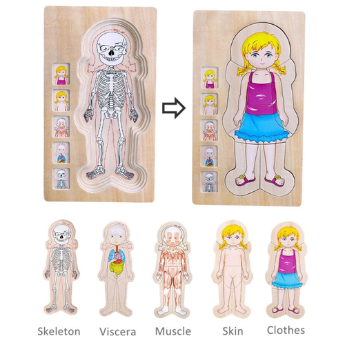 Puzzle Lemn Incastru - Anatomie a Corpului Uman, Fetita