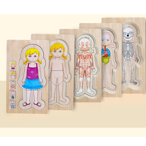 Puzzle Lemn Incastru - Anatomie a Corpului Uman, Fetita