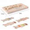 Puzzle Lemn Incastru - Anatomie a Corpului Uman, Baietel