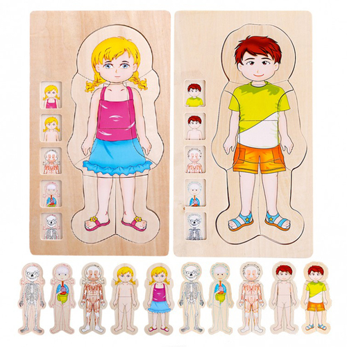 Puzzle Lemn Incastru - Anatomie a Corpului Uman, Baietel