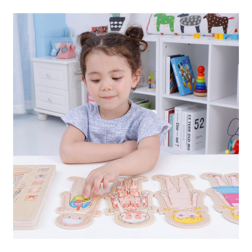 Puzzle Lemn Incastru - Anatomie a Corpului Uman, Fetita