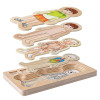Puzzle Lemn Incastru - Anatomie a Corpului Uman, Baietel