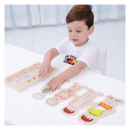 Puzzle Lemn Incastru - Anatomie a Corpului Uman, Baietel