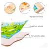 Puzzle Montessori incastru din lemn in cinci straturi cu Ciclul Vietii A Unei Broscute, 31 Piese, + 3 ani