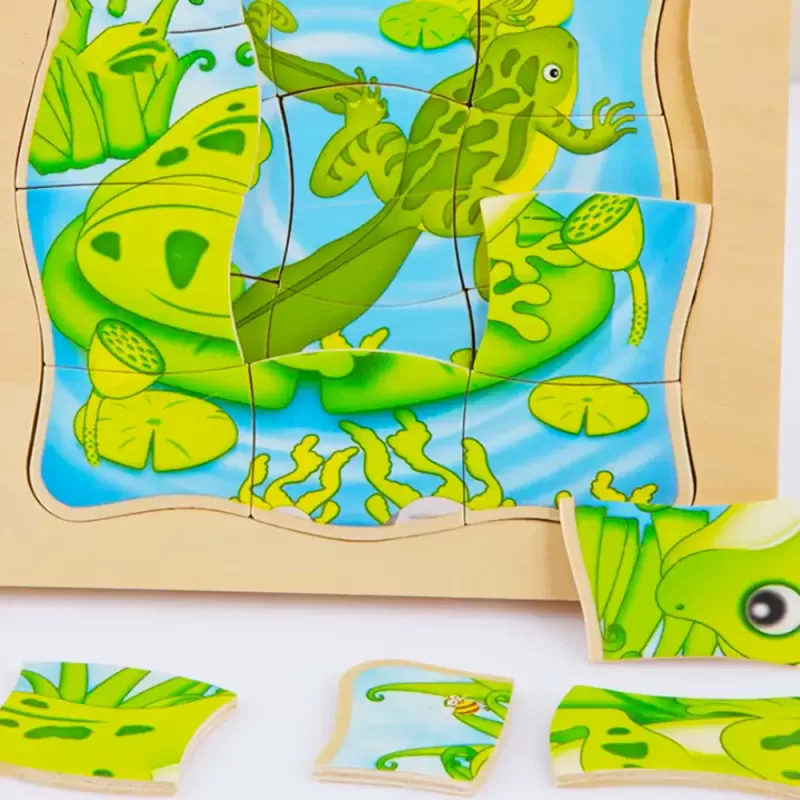 Puzzle Montessori incastru din lemn in cinci straturi cu Ciclul Vietii A Unei Broscute, 31 Piese, + 3 ani