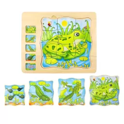 Puzzle Montessori incastru din lemn in cinci straturi cu Ciclul Vietii A Unei Broscute, 31 Piese, + 3 ani