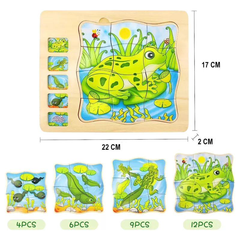 Puzzle Montessori incastru din lemn in cinci straturi cu Ciclul Vietii A Unei Broscute, 31 Piese, + 3 ani