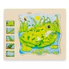 Puzzle Montessori incastru din lemn in cinci straturi cu Ciclul Vietii A Unei Broscute, 31 Piese, + 3 ani