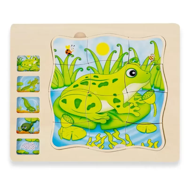 Puzzle Montessori incastru din lemn in cinci straturi cu Ciclul Vietii A Unei Broscute, 31 Piese, + 3 ani