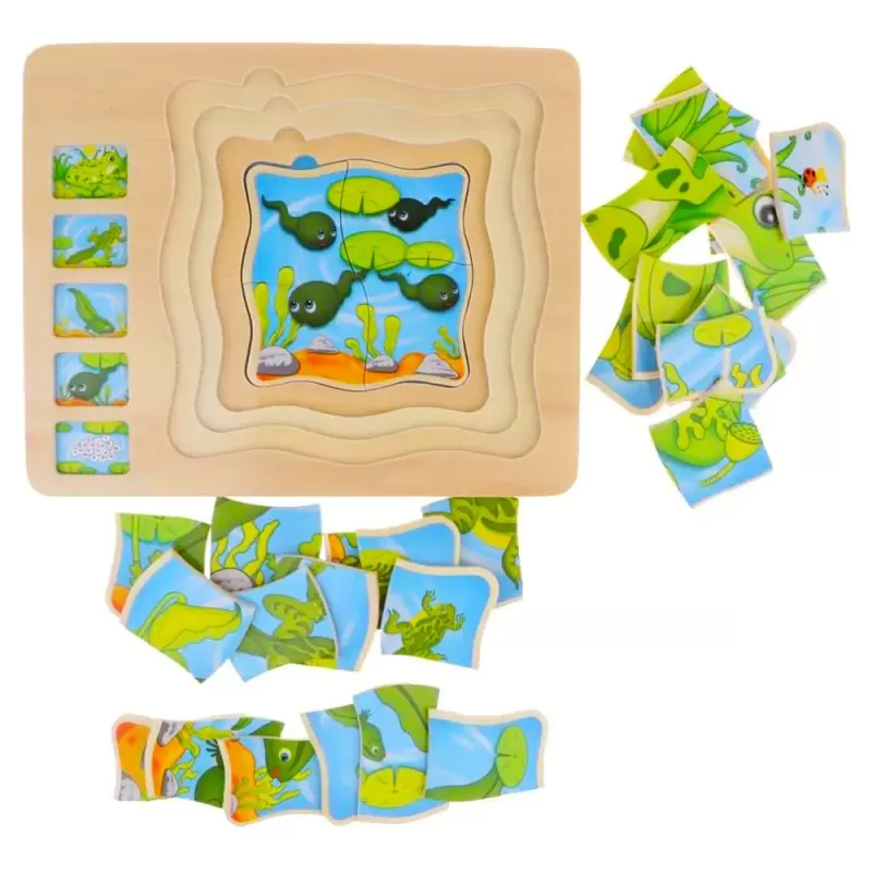 Puzzle Montessori incastru din lemn in cinci straturi cu Ciclul Vietii A Unei Broscute, 31 Piese, + 3 ani