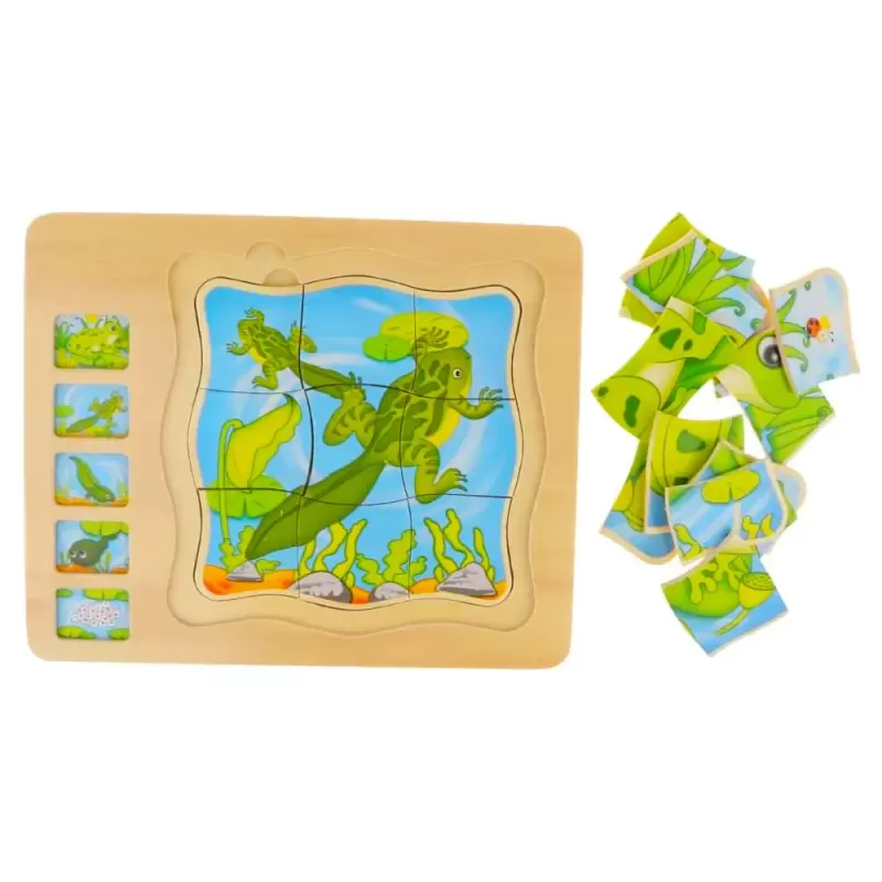 Puzzle Montessori incastru din lemn in cinci straturi cu Ciclul Vietii A Unei Broscute, 31 Piese, + 3 ani