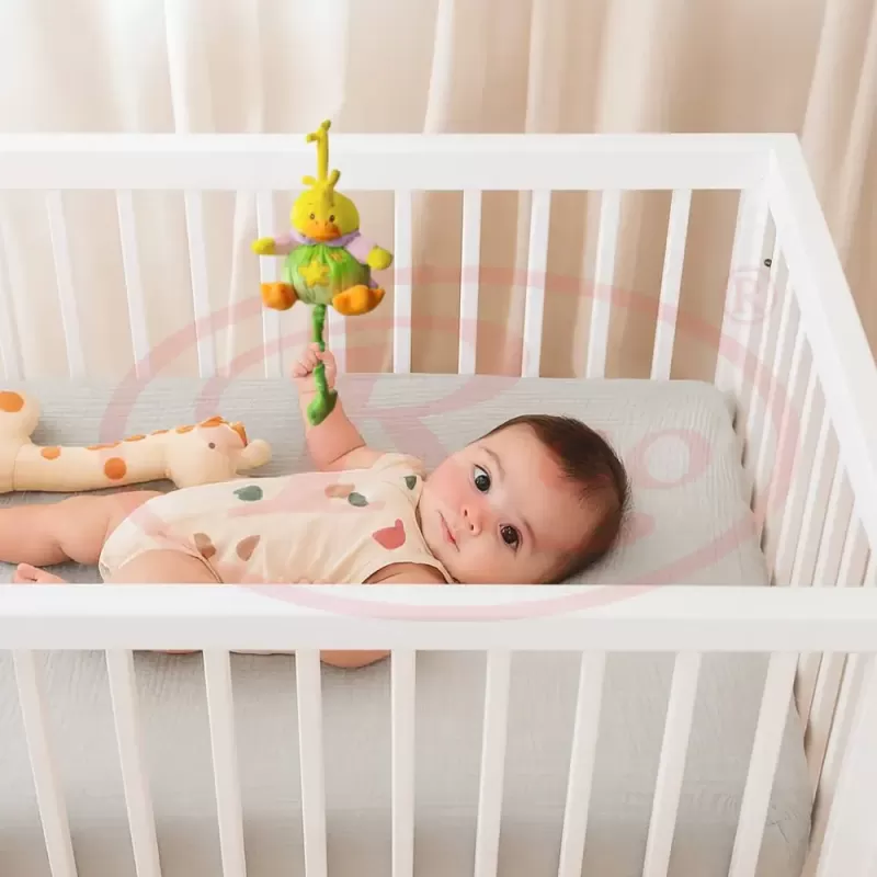 Jucarie muzicala din plus RCO, cu mecanism de tragere si agatatoare, Ratusca