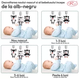 Set jucarii zornaitoare si carduri stimulare vizuala cu forme inovatoare, texturi diferite, + 0-3 luni