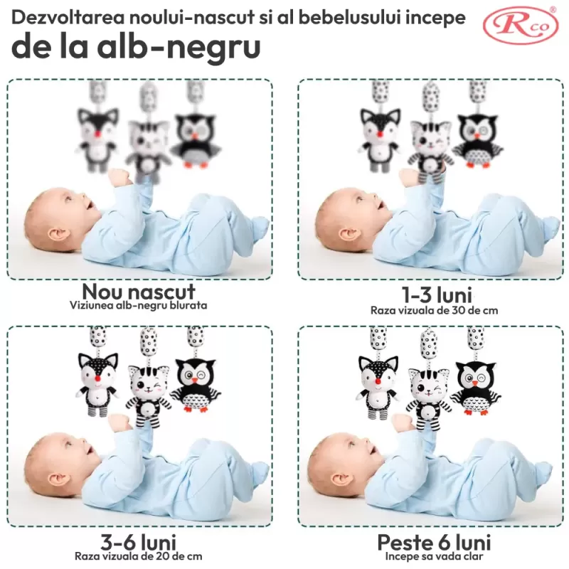 Set jucarii zornaitoare si carduri stimulare vizuala cu forme inovatoare, texturi diferite, + 0-3 luni
