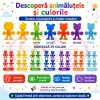 Set de constructie STEM Fun Blocks Educational cu aproximativ 34 de piese colorate in forme de animale si plansa cu modele