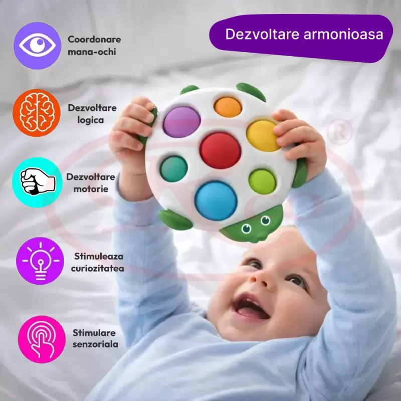 Jucarie senzoriala pentru bebelusi cu Pop it Push - Testoasa