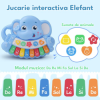 Jucarie interactiva muzicala cu functii si lumini, mini orga Elefant RCO, 21 x 17 cm, +18 luni