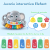 Jucarie interactiva muzicala cu functii si lumini, mini orga Elefant RCO, 21 x 17 cm, +18 luni