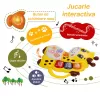 Mini orga muzicala Girafa galbena cu sunete si lumini, jucarie interactiva 12+ luni