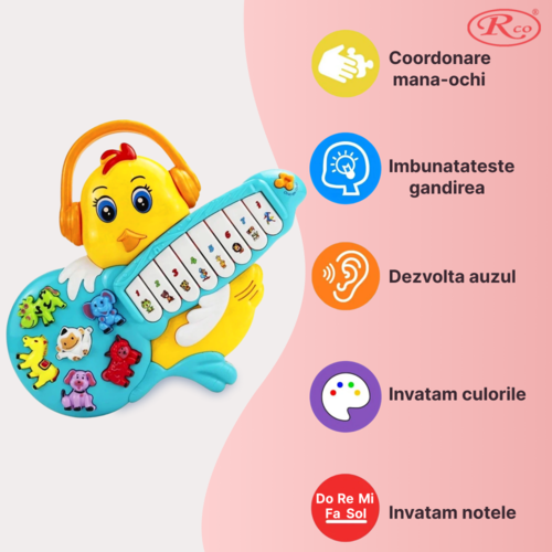 Jucarie Educativa, Mini Orga Puiut RCO, 23x27.5x3 cm, +12 luni